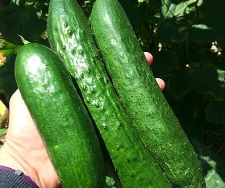 Does Penis Size Actually Matter?