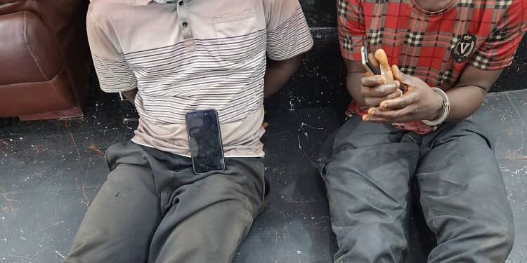 TWO COUSINS ARMED-ROBBERY GANG IN POLICE NET FOR MURDER