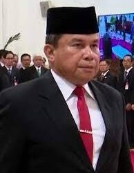 X-raying Positive Relations Between Nigeria And Indonesia - Image 1
