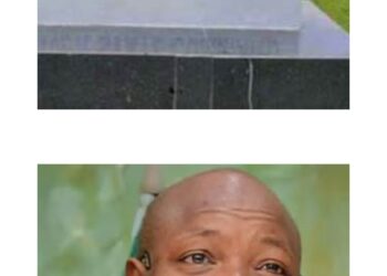 Ogun says Ajayi, New DSS DG is right choice - Image 1