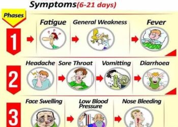 Lassa Fever Outbreak Now In Ogun …Govt calls for vigilance
