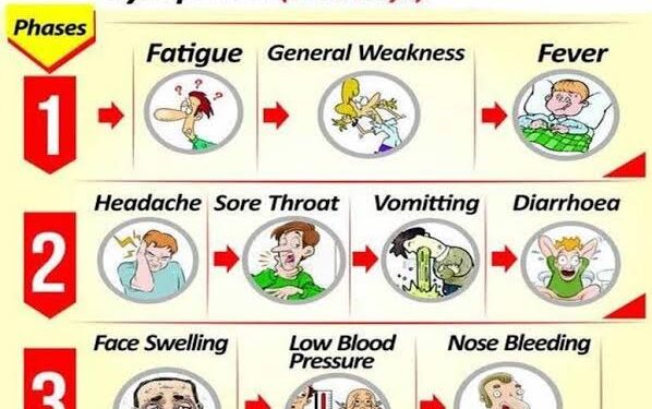 Lassa Fever Outbreak Now In Ogun …Govt calls for vigilance