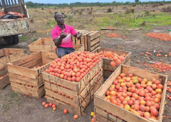 Govt takes initiative to reduce post-harvest losses - Image 1