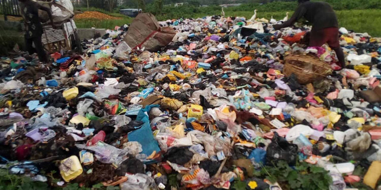 OGWAMA Restores Night Operation to Clear Accumulated Waste - Image 1