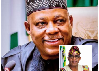 Abiodun lauds Shetima on his 58th birthday - Image 1