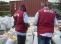NDLEA says Ogun, Oyo forests must not become havens to international drug cartels
