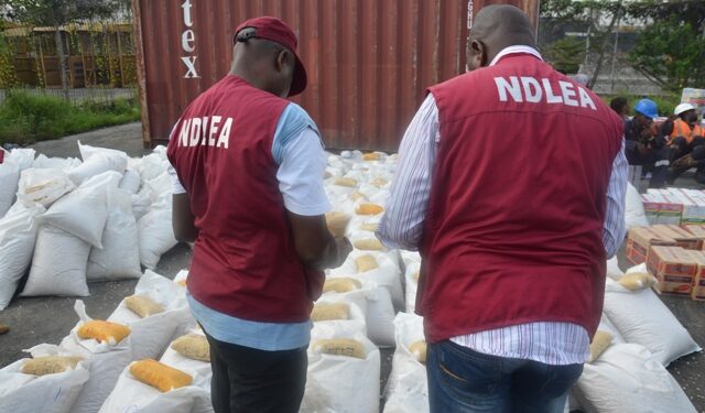 NDLEA says Ogun, Oyo forests must not become havens to international drug cartels