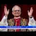 Vatican tags Environmental Degradation, ‘Sin Against Creation And The Creator’