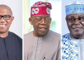 2027: Atiku, more experienced than Obi and Tinubu — Dele Momodu